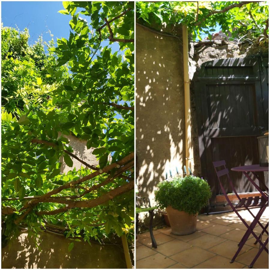 Le Chateau Camps-sur-l'Agly Εξωτερικό φωτογραφία