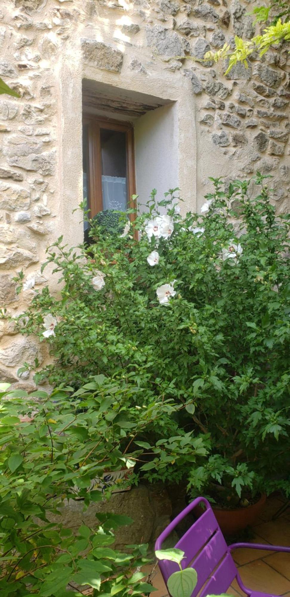 Le Chateau Camps-sur-l'Agly Εξωτερικό φωτογραφία