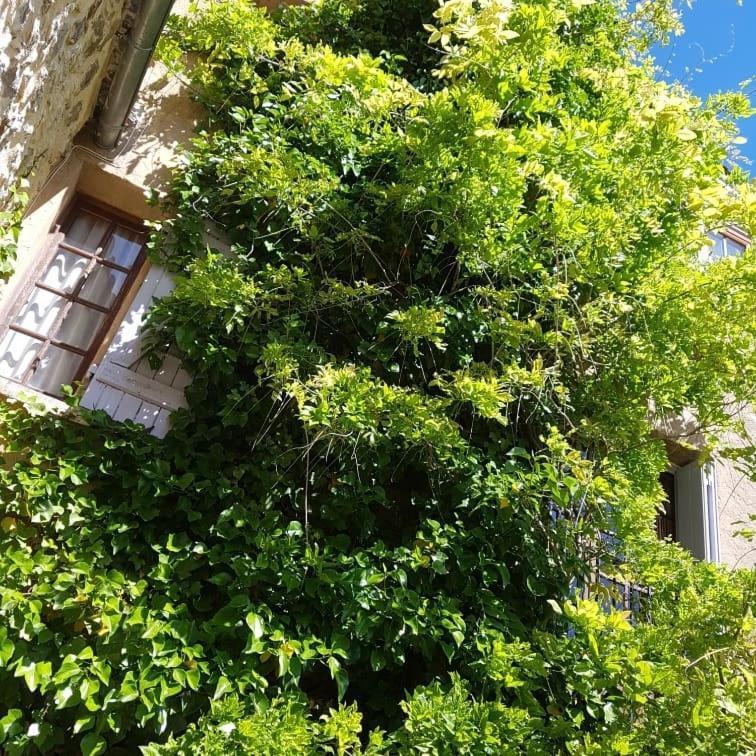 Le Chateau Camps-sur-l'Agly Εξωτερικό φωτογραφία